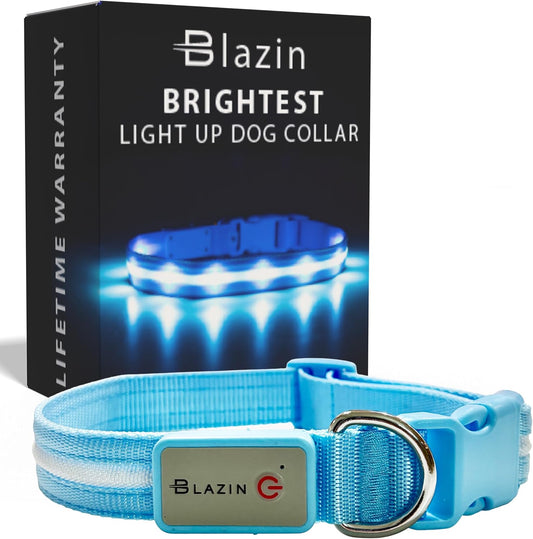 High-Visibility LED Safety Dog Collar – Waterproof & USB Rechargeable