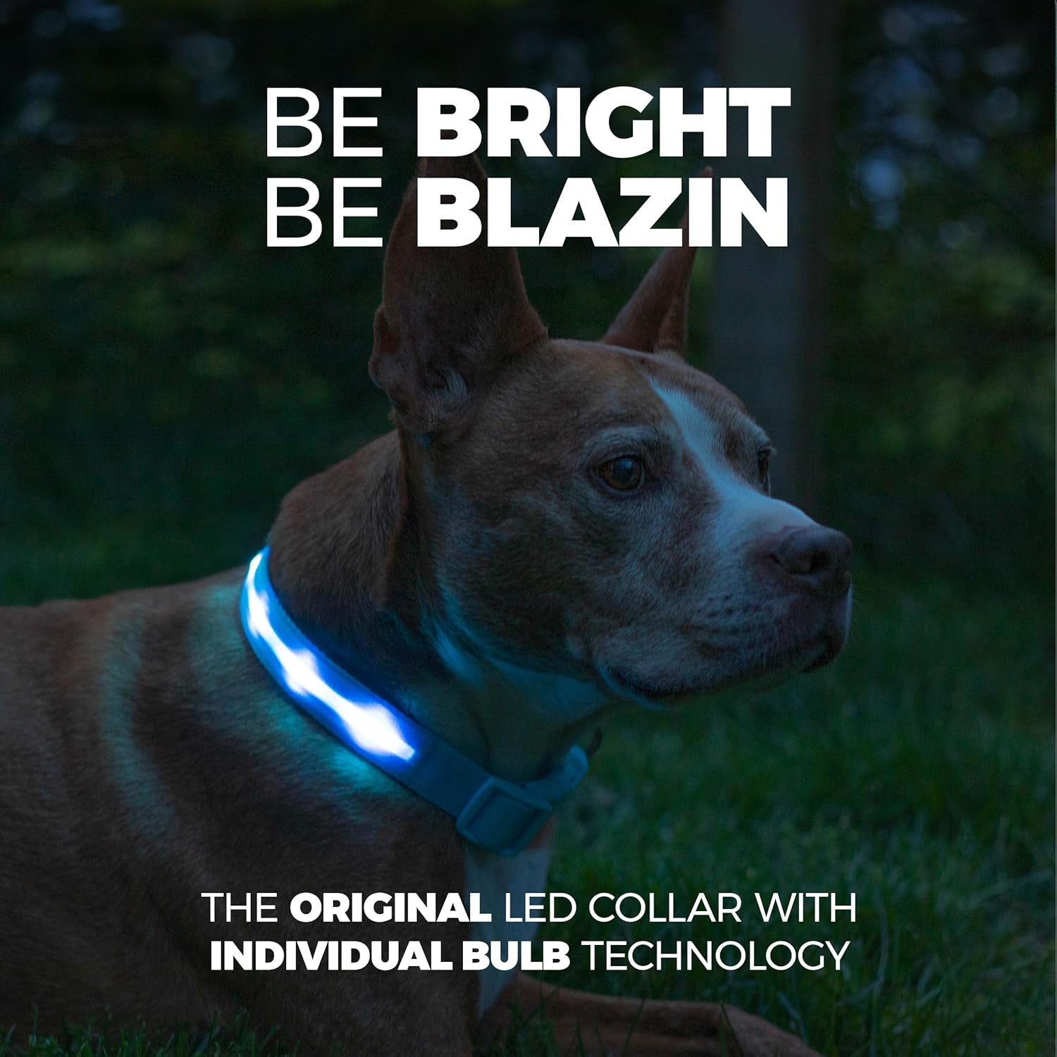 High-Visibility LED Safety Dog Collar – Waterproof & USB Rechargeable